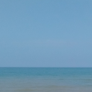 小生字道琼的个人资料头像