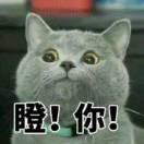 天下剑无的个人资料头像