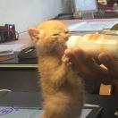 bleu的个人资料头像