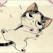 viile的个人资料头像