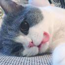 小小的前端的个人资料头像