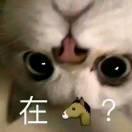 小米粥OvO的个人资料头像