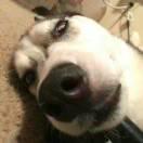 啊辉君的个人资料头像