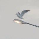 kk和其他的个人资料头像