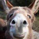 十点睡觉72401的个人资料头像