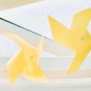 莹盈赢的个人资料头像