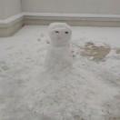 月声的个人资料头像