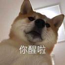 魚忘七秒的个人资料头像