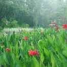 AYuan在掘金72511的个人资料头像