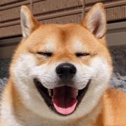 Andrew_wang的个人资料头像