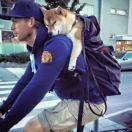 黍离同志的个人资料头像