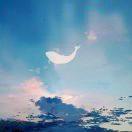 蹇之途的个人资料头像