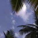 风重名了72606的个人资料头像