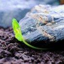 爱学习72665的个人资料头像