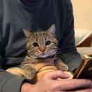 Jack爱学习72667的个人资料头像