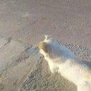 贺潇男的个人资料头像