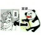 星空酱72723的个人资料头像