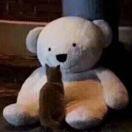 一只猫猫虫儿的个人资料头像