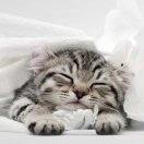 同学72820的个人资料头像