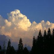 April_Strong的个人资料头像