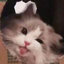 慢慢酱的个人资料头像