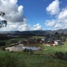 本尊的个人资料头像