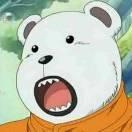 瓦决吉的个人资料头像