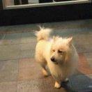 平行线在掘金的个人资料头像