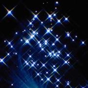 Peternice的个人资料头像