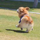 黑夜不想说话73113的个人资料头像