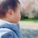 a_zhen珍的个人资料头像