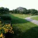 zeroing同志的个人资料头像