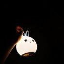 同志73130的个人资料头像