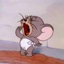 同志73166的个人资料头像