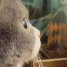 大壮同志的个人资料头像