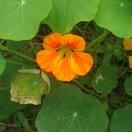 随风本尊73178的个人资料头像