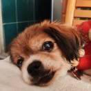 Eddie君73181的个人资料头像