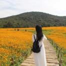 东南星辰的个人资料头像