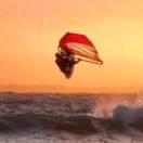 恶魔眼泪的个人资料头像