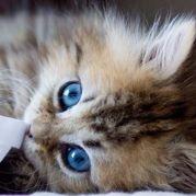 我不是雞肋啊的个人资料头像