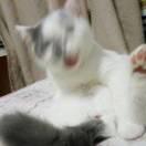 令狐冲的冲的个人资料头像