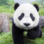 ltshxyyi的个人资料头像