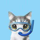 何时何时的个人资料头像