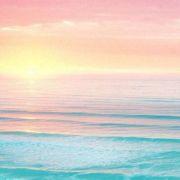 绵绵绵面包的个人资料头像