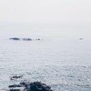 爱不将就的个人资料头像