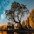 老胡杨的个人资料头像