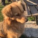 爱学习73402的个人资料头像