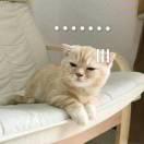 Windfall73485的个人资料头像