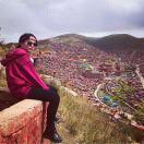 Wendy的个人资料头像