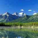 哥谷的个人资料头像